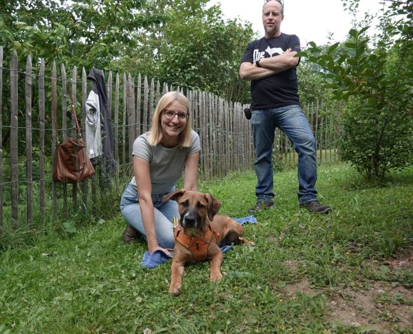 Hundeschule Willenskraft Bild 3