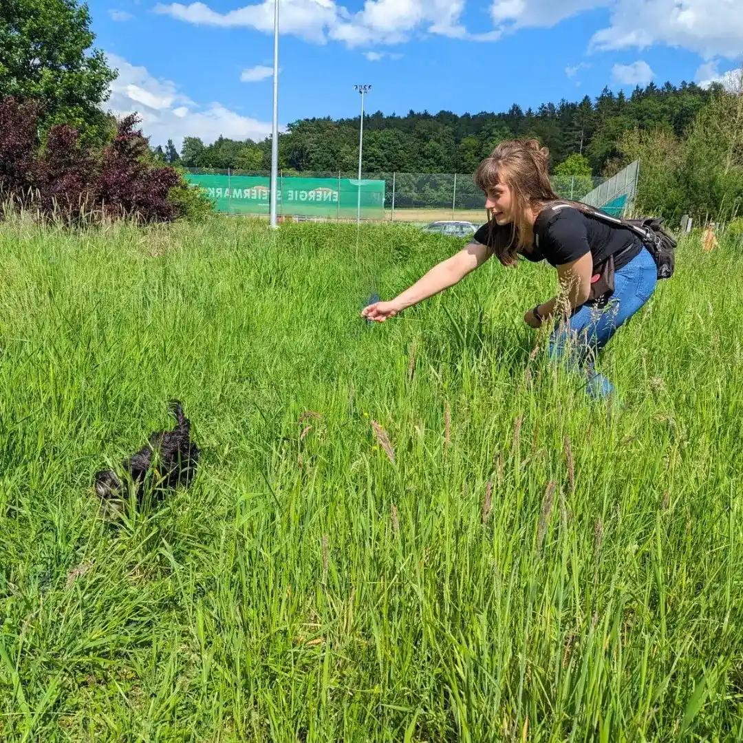 Hundeschule Willenskraft & Akademie – Welpentraining, Gruppenkurse und Team (Bild 1)