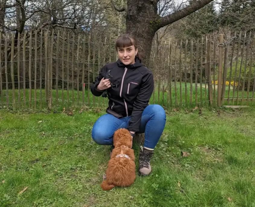 Welpenschule Schwechat: Training mit positiver Verstärkung