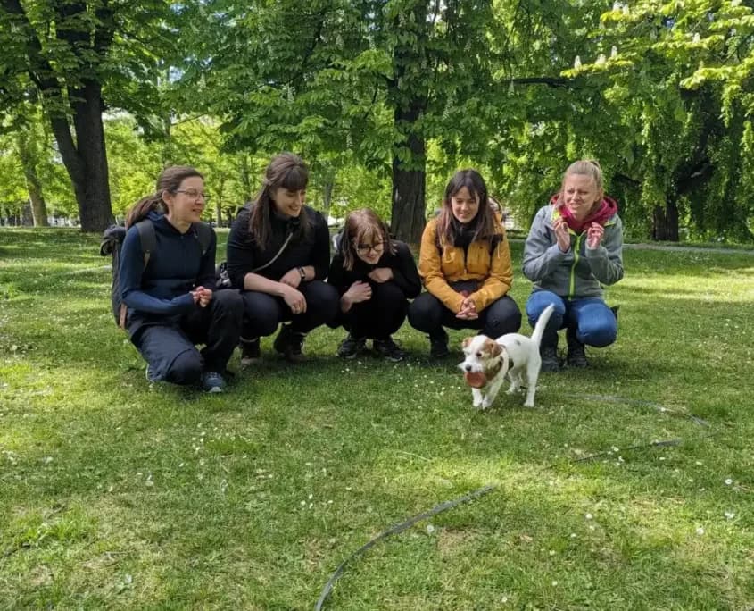Hund im Dummytraining der Hundeschule Willenskraft