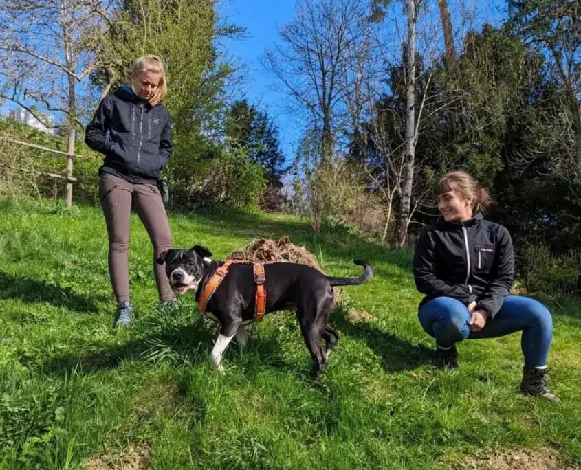 Hundetrainerin Jessy im Junghundekurs der Hundeschule Willenskraft