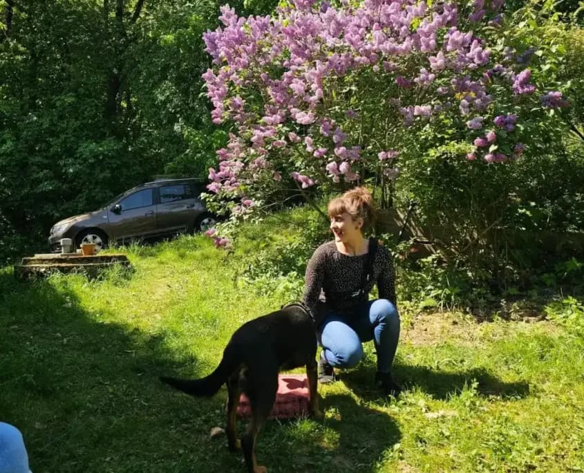 Markertraining mit der Hundeschule Willenskraft