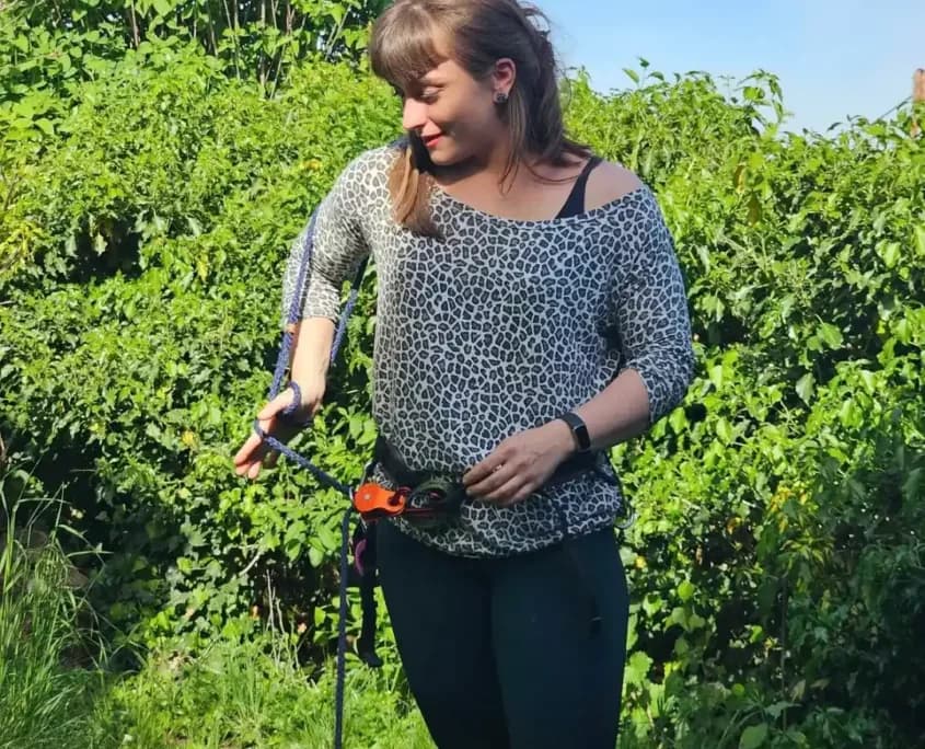 Begegnungstraining mit der Hundeschule Willenskraft