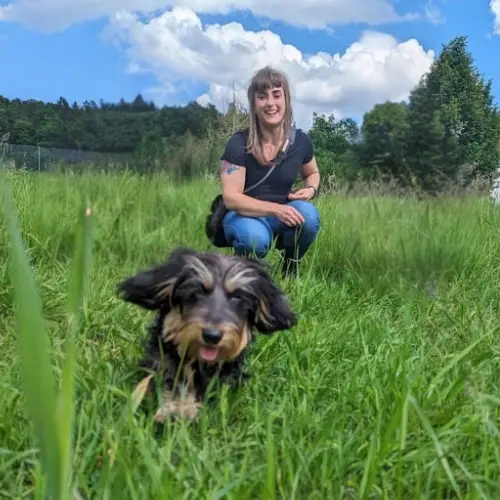 Jessica Pusch — mobile Hundetrainerin & Welpenschule in Schwechat und dem südlichen Wiener Umland